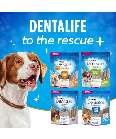 DentaLife ActivFresh Dog Treats for Small/Medium Breed Dogs - 439 g Pouch (1 Pack) 439 g (Pack of 1) - Buy Online on GoSupps.com