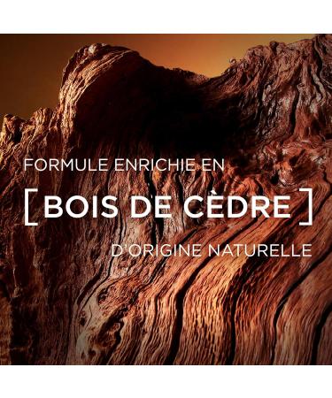 L'Or al Men Expert Trousse BarberClub dition limit e Romain Ntamack Huile Barbe Longue et Visage 50ml + Nettoyant 3en1 Barbe Visage Cheveux 200ml + D odorant Bille Protection 48h 50ml - Buy Online on GoSupps.com