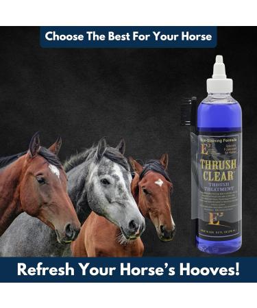 E3 Thrush Clear Treatment owerful Solution for Equine Hoof Thrush - 8 Oz - - Buy Online on GoSupps.com