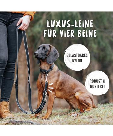 Rudelknig Dog Leash Paola - 2.30m Adjustable Reflective Leash for Medium & Large Dogs - Black - Buy Online on GoSupps.com