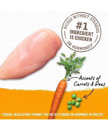 Purina Beyond Grain Free Wet Dog Food - Chicken, Carrot & Pea - 12 Cans (13 oz) - Natural Adult Entree - Buy Online on GoSupps.com