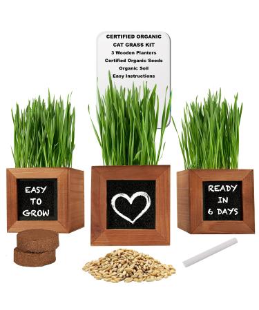 Cat Grass for Indoor Cats with 3 Wooden Planters, Certified Organic Seeds and Soil. Gifts for Cats They Will Love. (Cat Grass Kit)