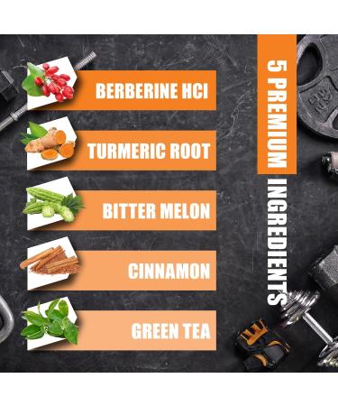 Berberine HCl Supplement Ceylon Cinnamon and Turmeric Capsules Green Tea and Bitter Melon Capsules - 120 Capsules for 2 Month Supply - Buy Online on GoSupps.com