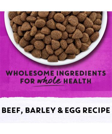 Beyond Simply Natural Dry Dog Food Farm-Raised Beef Barley & Free Run Egg - 5 kg Bag 5 kg (Pack of 1) - Buy Online on GoSupps.com