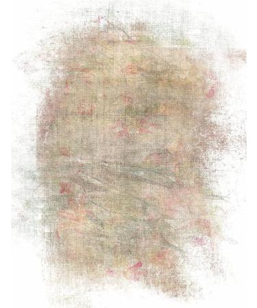 Rose Wallpaper Overlay Rice Paper 8 x 10.5 Inch - 6 Different Printed Mulberry Paper Designs for Decoupage Crafts and Mixed Media Art - Buy Online on GoSupps.com
