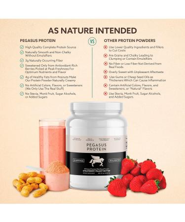 Buy Premium Strawberry Peanut Butter Protein Powder - 20g All-Natural Plant-Based Protein 4 Ingredients No Stevia 20 Servings - International Shipping Available - Buy Online on GoSupps.com