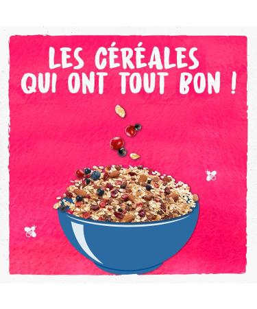 BJORG - Organic Superfruit Muesli - Raisins Blackcurrants Blueberries Cranberries - No Added Sugar - 375 g - Buy Online on GoSupps.com