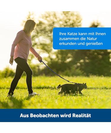 PetSafe Easy Walk Cat Harness with Elastic Bungee Leash - Size M Blue | International Shipping Available - Buy Online on GoSupps.com