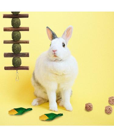 EBaokuup Bunny & Hamster Chew Toys for Dental Health - 100% Natural Apple Wood Grass Ball String Carrot Toys - Ideal for Chinchillas, Guinea Pigs, Hamsters - 18PCS - Buy Online on GoSupps.com