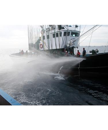 SERRATS 12 Stuks Pickled Bonito from the North of the Cantabrian Sea 190g - Buy Online on GoSupps.com