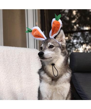 Midlee Carrot Bunny Ears Easter Dog Headband Costume (Small) - Buy Online on GoSupps.com