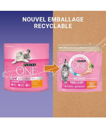 PURINA ONE Bifensis Junior | Chicken Kitten Dry Food | 1.5 kg Bag | Pack of 6 - Buy Online on GoSupps.com