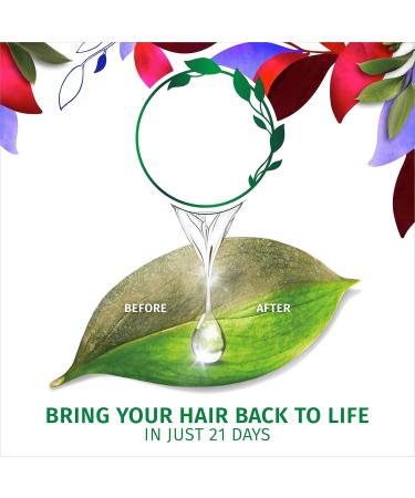 Herbal Essences Arabica Coffee Fruit Conditioner - 13.5 Fl Oz | Nourishing Hair Care for a Refreshing Shine | Shop Internationally - Buy Online on GoSupps.com