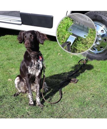 Dogsitter Stainless Steel Ground Anchor for Dogs | Dog Anchor | Base Plate - Buy Online on GoSupps.com