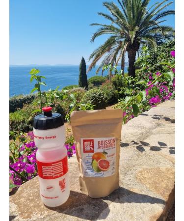 MULEBAR - Powdered Hydration Drink - Citrus - Anti-Fatigue - Antioxidant - 8 Vitamins - 5 Minerals - Electrolytes - Very Low Sugar Taste - Easy to Digest - Made in France - 250gr - Buy Online on GoSupps.com