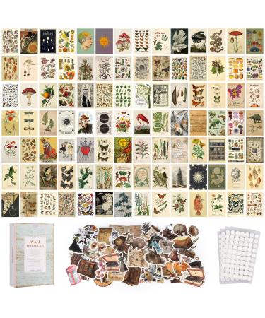 puthiac 200PCS Vintage Photo Wall Collage Kit Aesthetic Posters and Vintage Stickers  Double-Sided Printed Aesthetic Pictures Stickers for Cottagecore Vintage Room Decor and Scrapbooking Supplies Kit