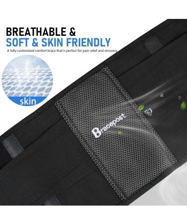 Back Brace for Lower Back Pain Relief | Lumbar Support Belt for Herniated Disc & Sciatica | Adjustable Breathable Design | Fits Waist 37-48 - Buy Online on GoSupps.com