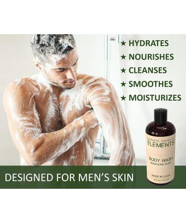 NATURAL AMERICAN ELEMENTS Men's Body Wash - Paraben & Sulfate Free Shower Gel for All Skin Types - Hydrating Cleansing Nourishing - 16 oz Made in USA - Masculine & Natural Scent - Buy Online on GoSupps.com