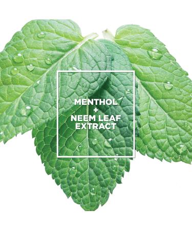 L'Oreal Paris EverPure Scalp Care Conditioner | Sulfate-Free for Color-Treated Hair | Invigorating Menthol & Neem Leaf - 8.5 oz - Buy Online on GoSupps.com
