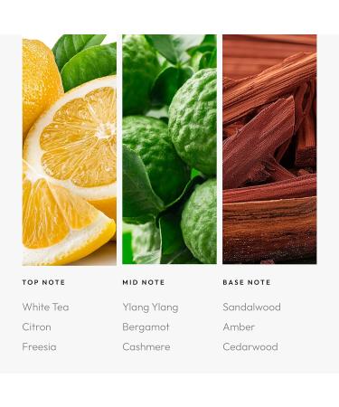 Buy Aroma360 Little White Lies - 200mL | Premium Scented Oil for Home | International Shipping Available - Buy Online on GoSupps.com