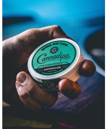 Cannadips Terpene Infused Nicotine-Free Dip Pouches - 4-Can Variety Pack | Made In USA - Buy Online on GoSupps.com