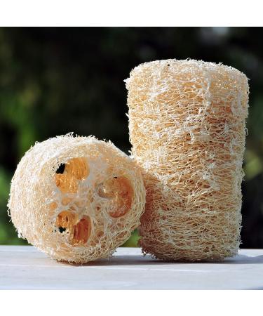 Organic Loofa Bath Sponge Set - 2 Exfoliating Scrubbers | Naturally Grown Loofah - HealthGoodsIn - Buy Online on GoSupps.com