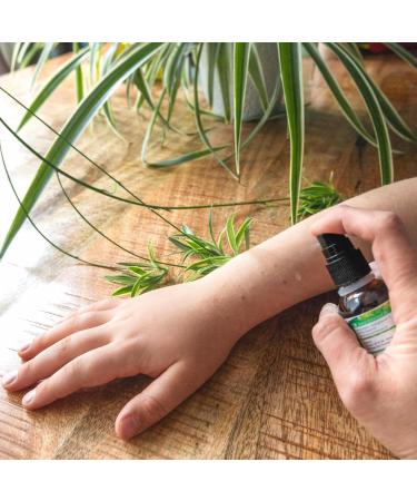 ImkerPur Organic propolis drops 25 high dose tincture directly from the beekeeper organic quality without additives - Buy Online on GoSupps.com