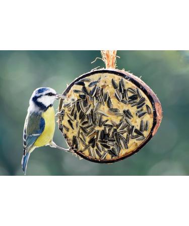 DoBar 10x Coconut Bird Feed - 5 Varieties for All-Year Feeding - 2kg Wild Bird Food in Half Coconut Shells - Buy Online on GoSupps.com