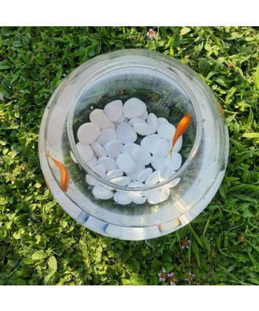 Kalapanta Recycled Plastic Decoration Stones for Vases & Aquariums - Eco-Friendly White Decor (S 2-5 cm 155 Pieces) - Buy Online on GoSupps.com