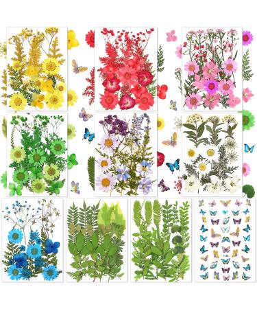 223 Pieces Real Dried Flowers Leaves and Butterfly Stickers Set  Multiple Pressed Dry Flowers Colorful Natural Daisies Flowers and Adhesive Butterfly Decals for DIY Resin Jewelry Nail Crafts - Buy Online on GoSupps.com