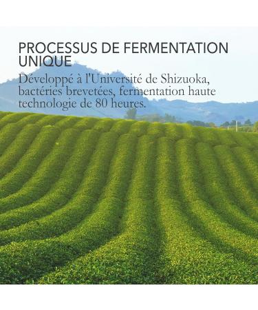 Th Pu Erh de Japanese Green Tea Co. 30 sachets de th vert Th japonais authentique Go t riche et d licieux - Buy Online on GoSupps.com