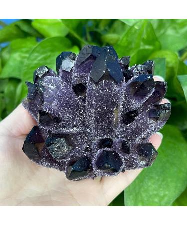 Natural Crystal Rough Natural Crystal 1Pcs Natural Purple Ghost Phantom Quartz Crystal Cluster Rock Stones and Crystals Specimen Home Deco (Color : 450-500g) - Buy Online on GoSupps.com