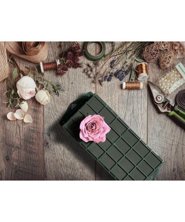 BESKGAVI 4 Floral Foam Cage for Flower Arrangements Dry and Wet Floral Foam for Fresh Artificial Flowers Florist Foam - Buy Online on GoSupps.com