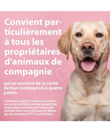 emmi-pet 2xA1 (S) Small Ultrasonic Brush Heads for emmi-pet 1.0&2.0 Ultrasonic Toothbrush I Prevents Tartar Fights Bad Breath and Gingivitis I Quiet & Friction-Free - Buy Online on GoSupps.com