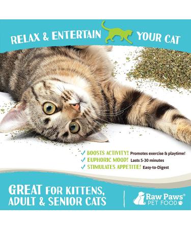 Raw Paws Pet Natural Catnip 1-oz - Premium Loose Catnip Leaf for Cats - Potent Refill for Toys - Cat Catnip Herb Dried - Buy Online on GoSupps.com