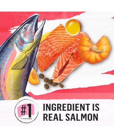 Beyond Superfood Blend Natural Dry Dog Food Wild Caught Salmon Egg & Pumpkin - 1.67 kg Bag 1.67 kg (Pack of 1) Dog Food - Buy Online on GoSupps.com