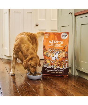 Lily's Kitchen Complete and Natural Dog Food - Chicken & Duck (4 x 1kg) - Buy Online on GoSupps.com