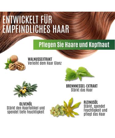 Herbal Time Natural Hair Color - Henna Silver Blonde N 1 | Ammonia-Free Sulfate-Free Paraben-Free | 100% Vegetable | Temporary 75ml Hair Dye - Buy Online on GoSupps.com