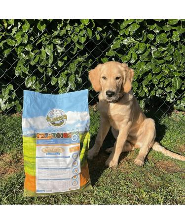 Bellfor - Dry food for puppies - Landgut-Schmaus Junior grain-free with insect protein - Hypoallergenic food for dogs (7.5) - Buy Online on GoSupps.com