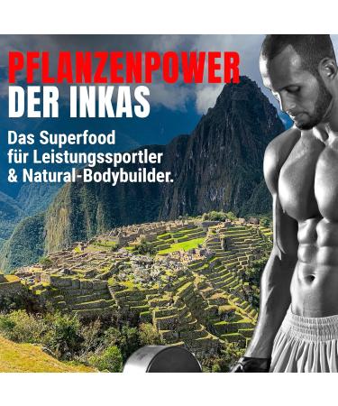 Powerstar Maca 15000 | High-Dose Vegan Maca Capsules | Organic Maca Root Extract (20:1) & Vitamin C | 120 Capsules | 2-Month Supply | Sports Supplement for Men & Women - Buy Online on GoSupps.com