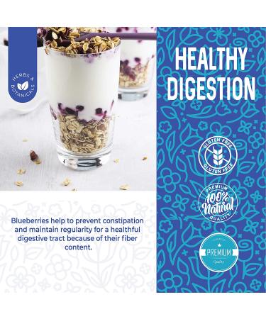 Bulk Dried Blueberries - Unsweetened, Non-GMO, 1 lb - Whole Dry Blue Berries - Dehydrated & All Natural - Buy Online on GoSupps.com