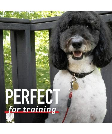 Leashboss Dog and Puppy Training Lead - 5 Foot Classic Red - Perfect for Obedience & Control - Buy Online on GoSupps.com