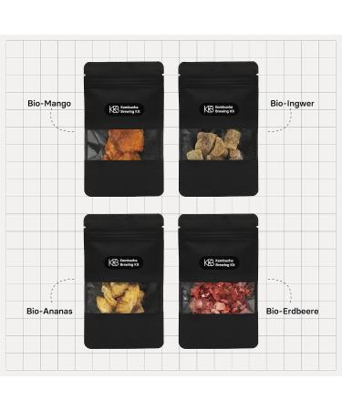 Kombosa Brewing Kit XL Bundle - Kombucha Starter Set with Bio-Scoby Fermentation Vessels and More for Perfect Home Brewing - Buy Online on GoSupps.com