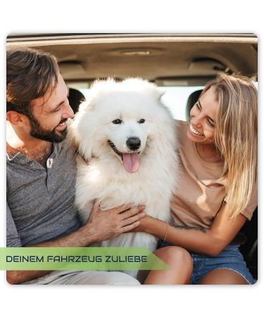 CAREAPRO Rubber Brush & Cleaning Cloth Set - Efficient Dog Hair Remover for Cars & Home Upholstery - Buy Online on GoSupps.com