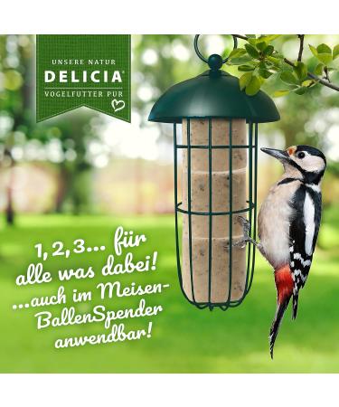 DELICIA Premium Insect Bird Balls - 6 Pack for Garden & Wild Birds | Meisen Dumplings with Hangers - High-Quality Bird Feed - Buy Online on GoSupps.com