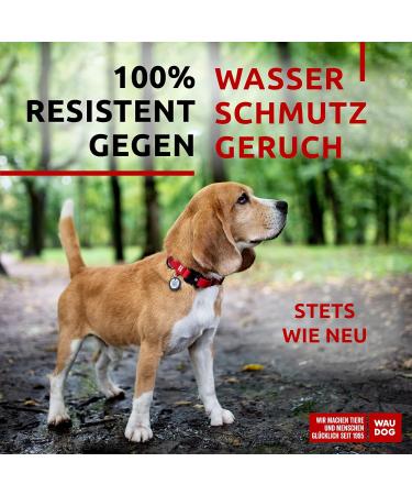 Waudog Waterproof Adjustable Dog Collar - Perfect for Big Medium and Small Dogs | Stylish & Durable Puppy Collars - Buy Online on GoSupps.com