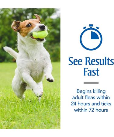 PetArmor Flea and Tick Treatment for Small Dogs (5-22 lbs) - 3 Month Supply - Buy Online on GoSupps.com