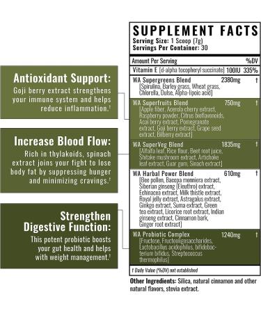 Wilderness Athlete Green Infusion Superfood Power Greens Powder with Wheatgrass, Astragalus Root, Green Tea Extract & Chlorella - 30 Servings (Chocolate Mint) - Buy Online on GoSupps.com