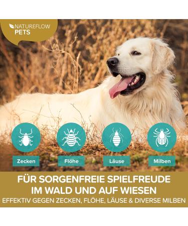 Premium Tick Spray for Dogs - 250ml | Natural & Effective Protection Against Ticks | Made in Germany - Buy Online on GoSupps.com