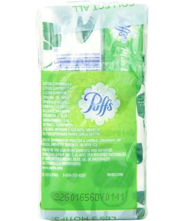 Puffs Plus Lotion Facial Tissues 2 Go Packs - 20 Tissues Total - Buy Online on GoSupps.com
